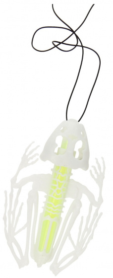 Home & Styling skelet kikker glow in the dark 10 cm 3 delig