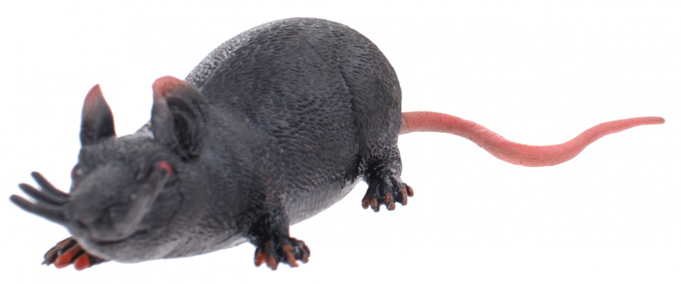 Johntoy rat Animal World 30 cm zwart
